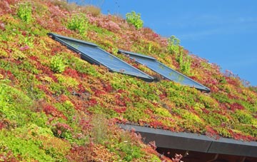 Hazler living roof systems