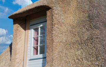 Hazler thatch roof disadvantages